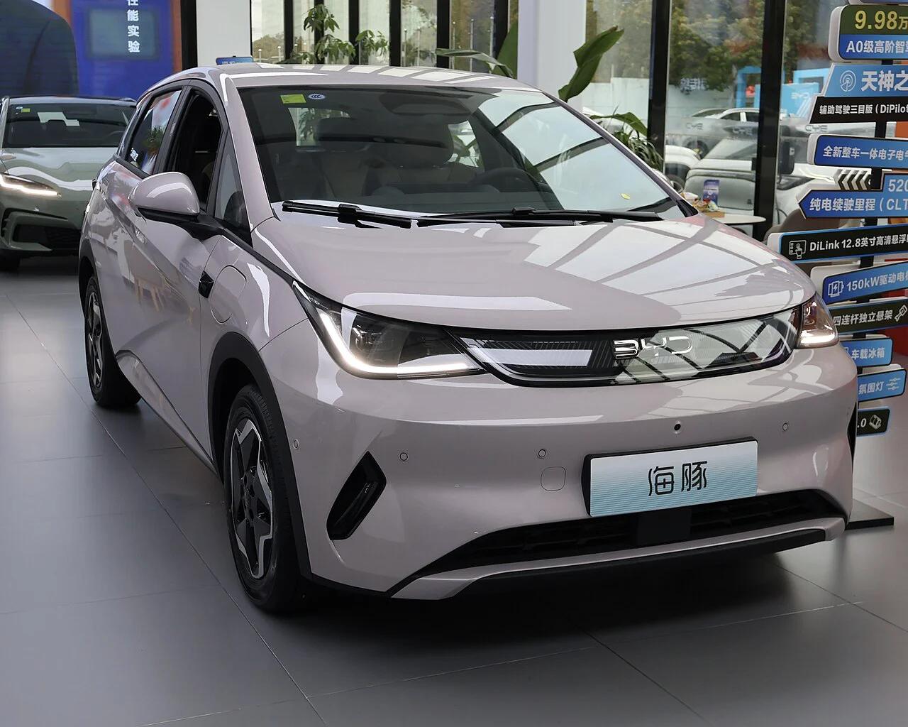 2021 BYD Dolphin — photo 1