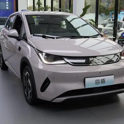 2021 BYD Dolphin 