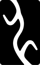 Yangwang logo