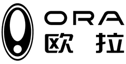 Ora logo