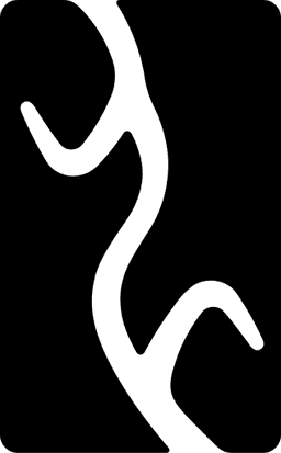 Yangwang logo